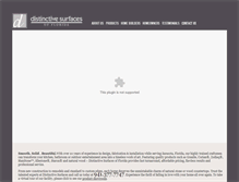 Tablet Screenshot of dsiflorida.com